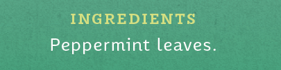 Stash Tea Peppermint Tea (6x20 CT)
