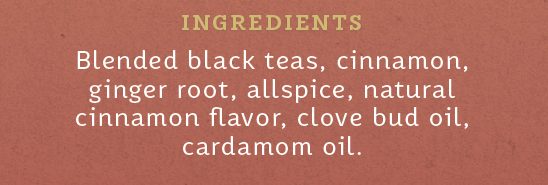Stash Tea Chai Spice Tea (6x20 CT)