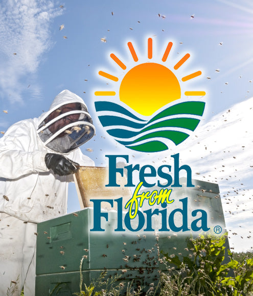 Matcha Green Honey Tea-4