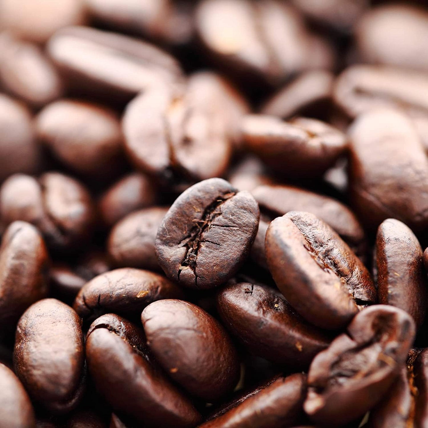 Zavida Hazelnut Vanilla Whole Bean Coffee – Flavoured Arabica Beans, 907g (2 lb)