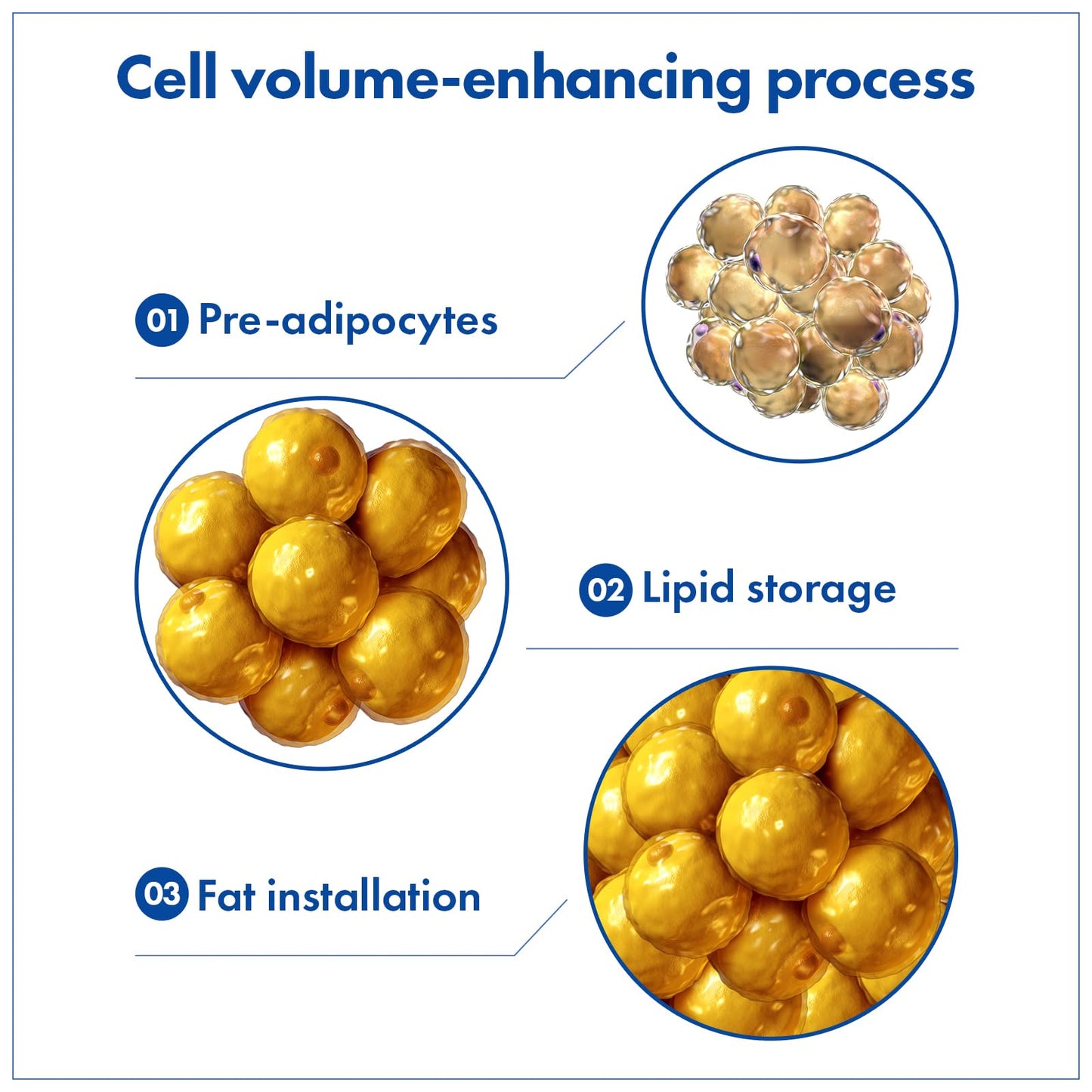 TOSOWOONG SOS Volufiline Serum, 100% France Sederma Volufiline, Glass skin, glow Skincare for Face, lip and body, 11ml 0.37 fl. oz.