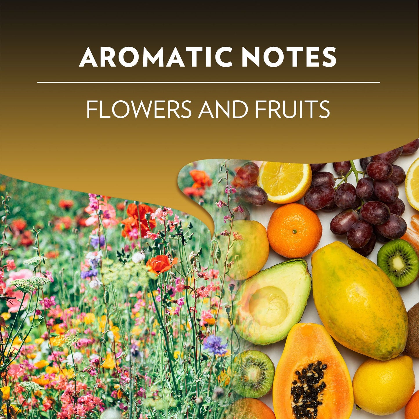 Lavazza Nespresso Compatible Capsules