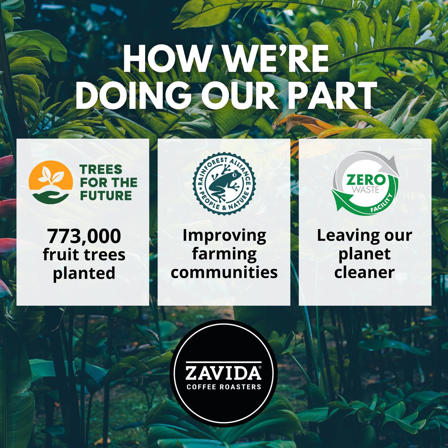 Zavida Organica Premium Whole Bean Coffee, 2 Pound Bag