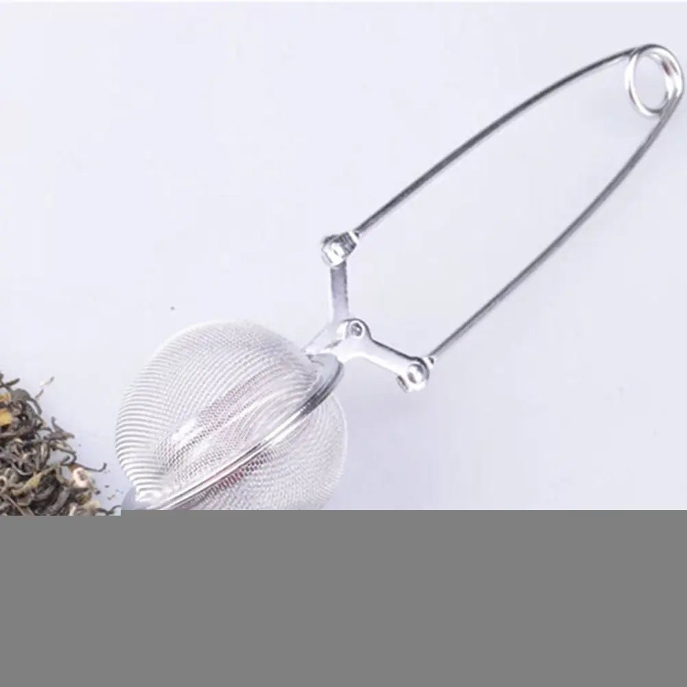 Stainless Steel Tea Infuser with Handle and Clip