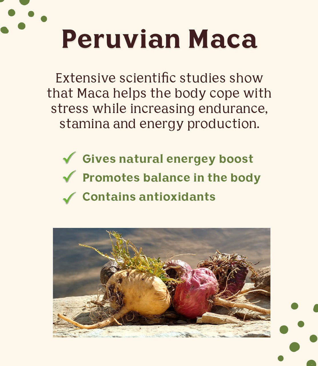 Teeccino Chocolate Coffee Ssrv (6x10BAG )-3