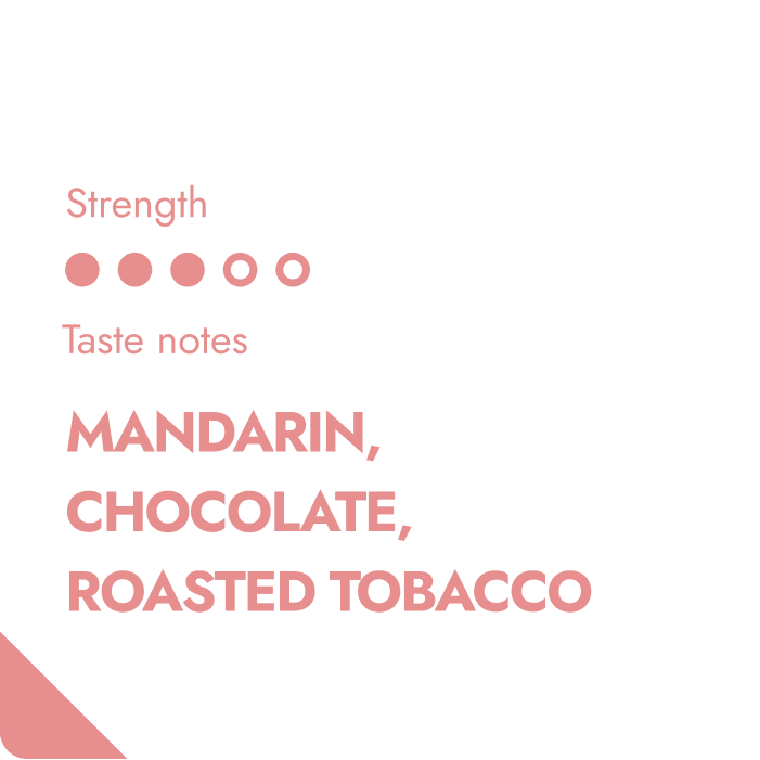 NICARAGUA SPECIALTY COFFEE BEANS-1